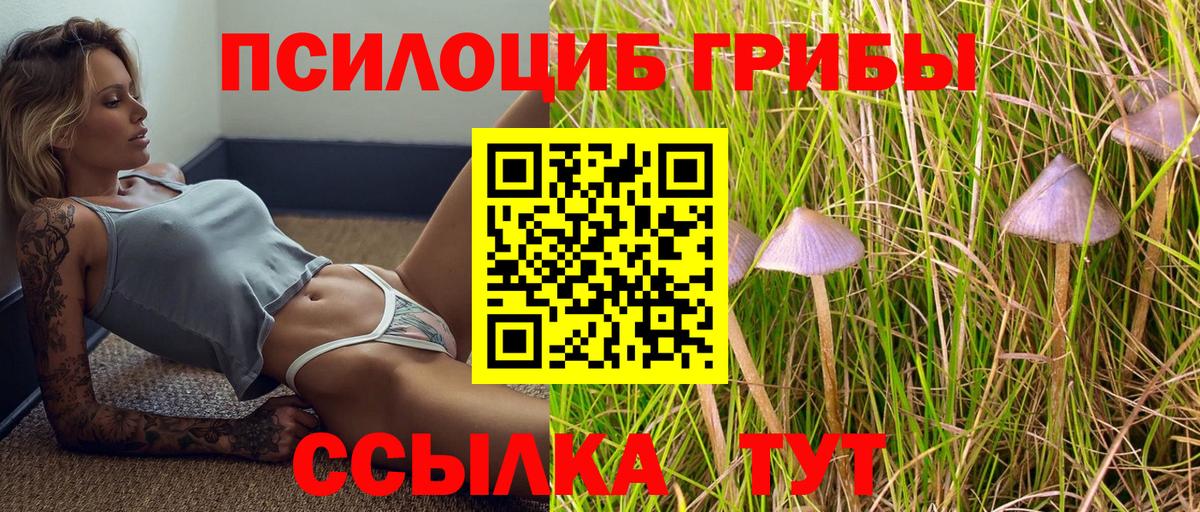 Псилоцибиновые грибы MAGIC MUSHROOMS Ульяновск
