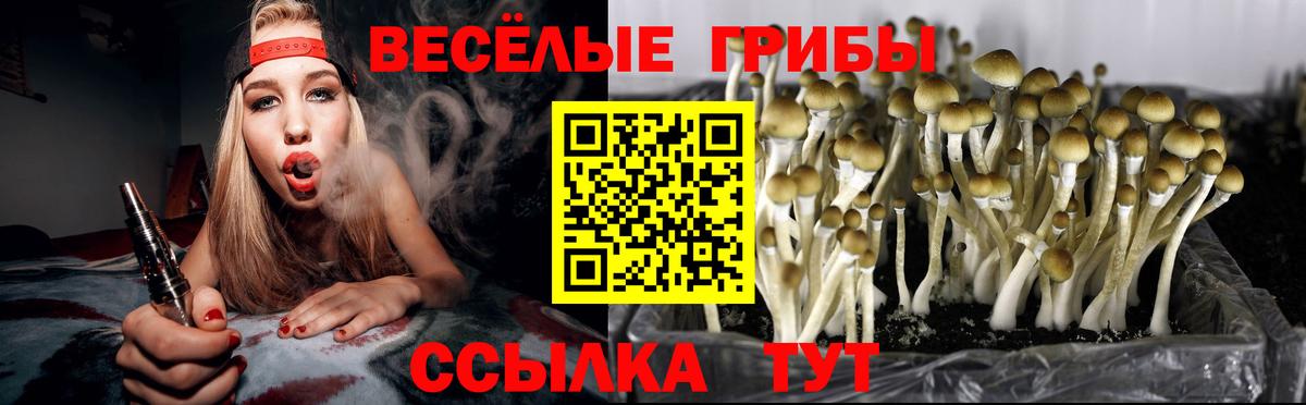 Ульяновск  Псилоцибиновые грибы ЛСД  Вход с VPN 